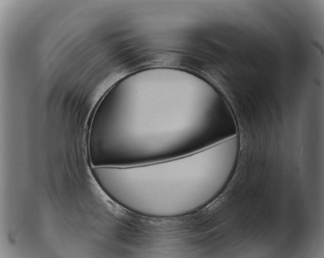 X0000103471434200809121110