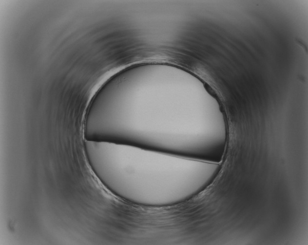 X0000103471436200809121110