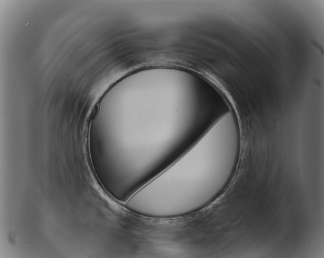 X0000103471437200809121110