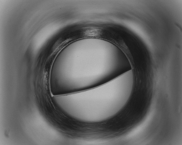 X0000103471438200809121110