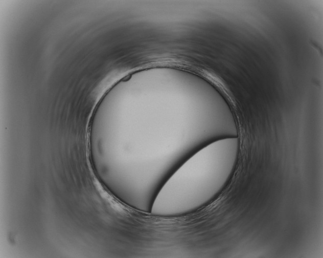 X0000103471439200809121110