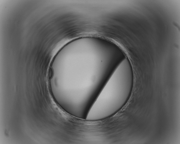 X0000103471440200809121110
