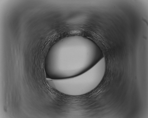 X0000103471441200809121109