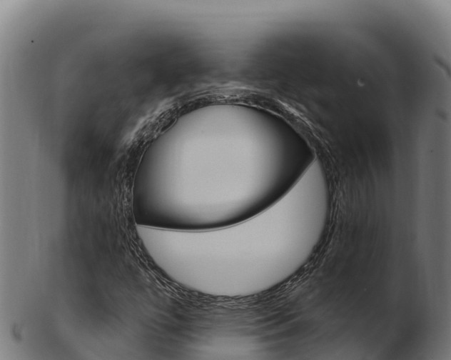 X0000103471447200809121109