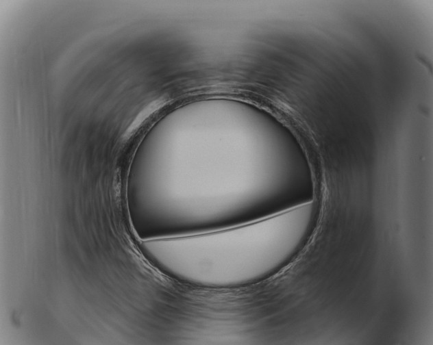 X0000103471450200809121109