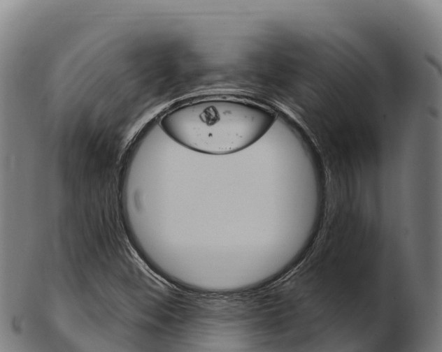 X0000103471452200809121109