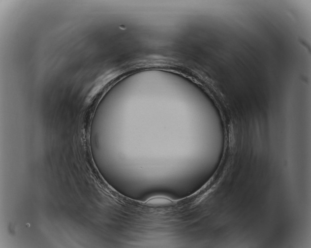 X0000103471453200809121109