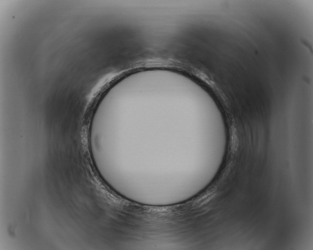 X0000103471454200809121109