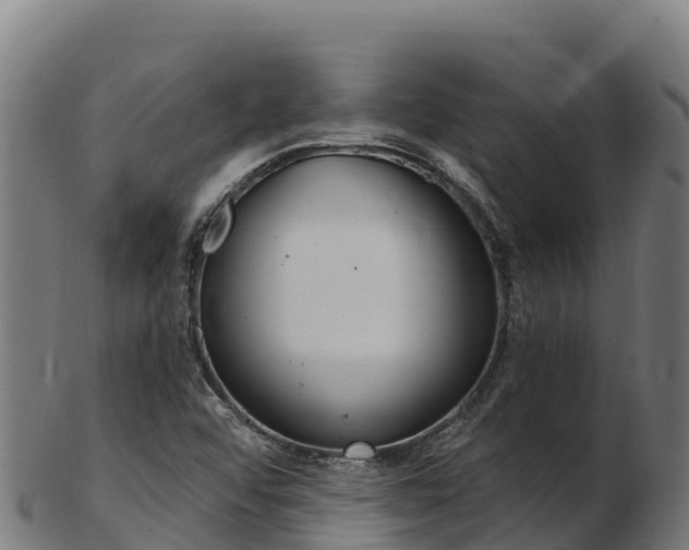 X0000103471456200809121109
