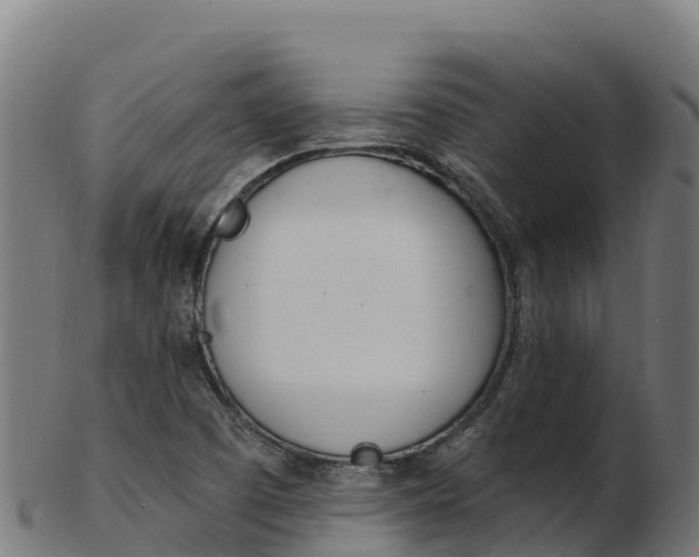 X0000103471457200809121109