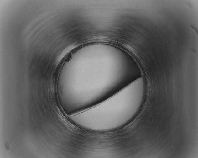 X0000103471458200809121109