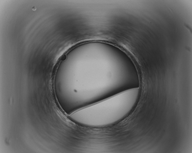 X0000103471460200809121109
