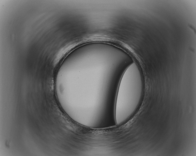 X0000103471461200809121109