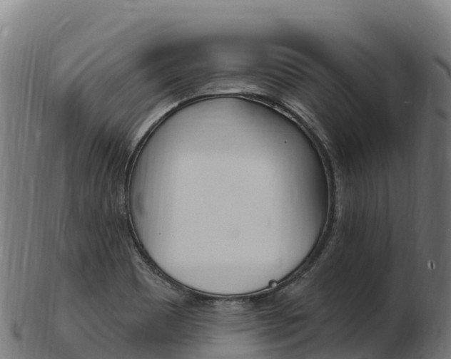 X0000103471465200809121109