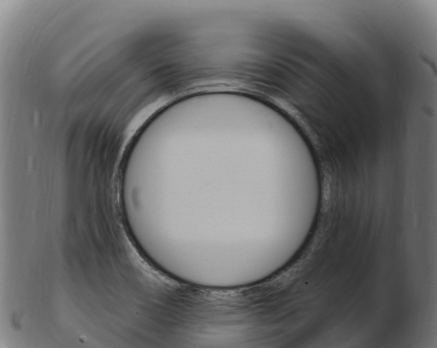 X0000103471466200809121109