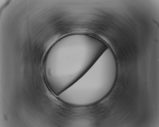X0000103471467200809121109
