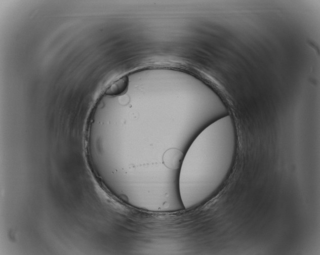 X0000103471471200809121109