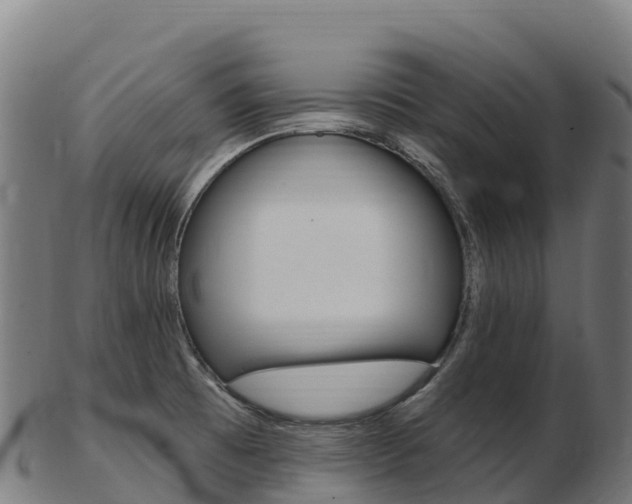 X0000103471473200809121109