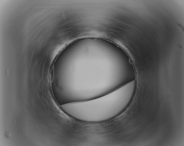 X0000103471477200809121109