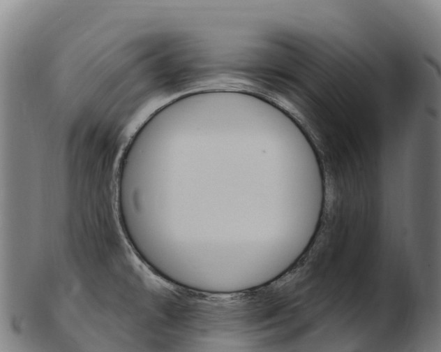 X0000103471478200809121109