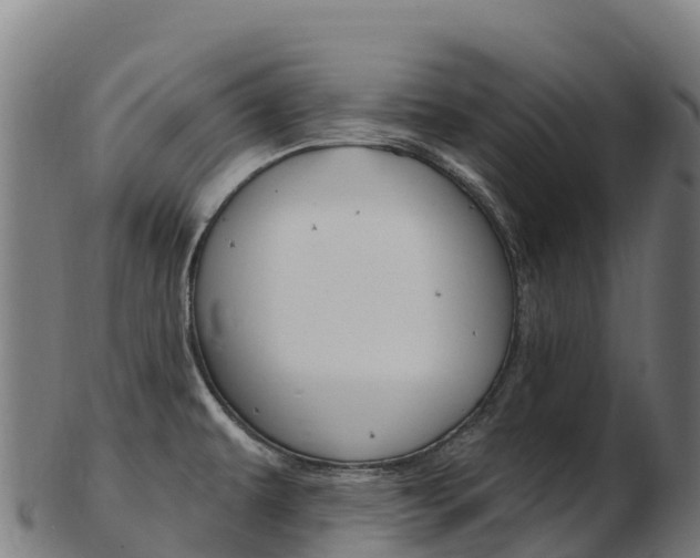 X0000103471479200809121109