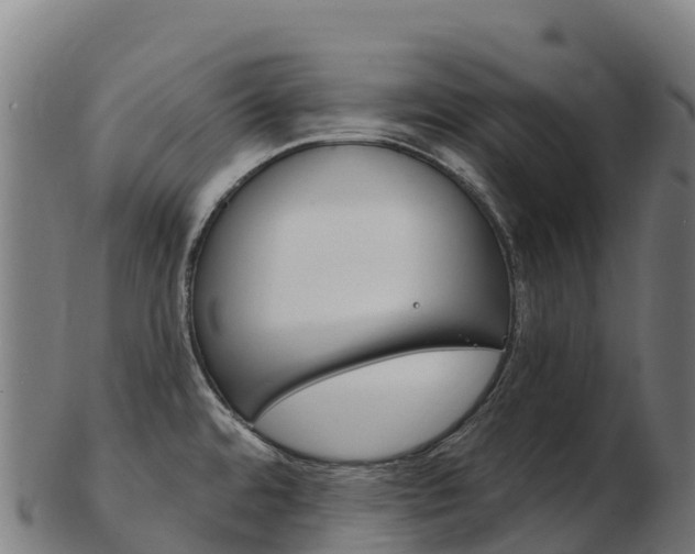 X0000103471480200809121109