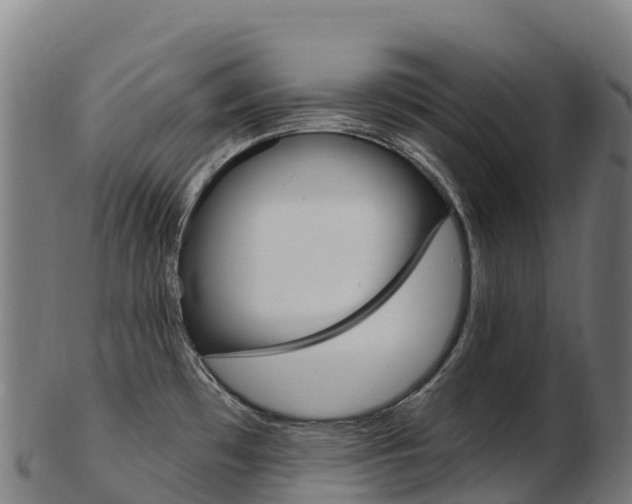 X0000103471481200809121109