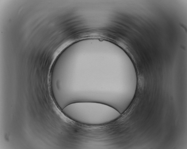 X0000103471482200809121109