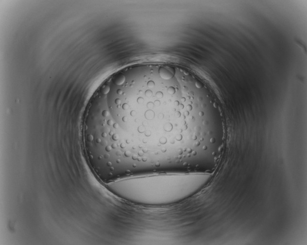 X0000103471483200809121109