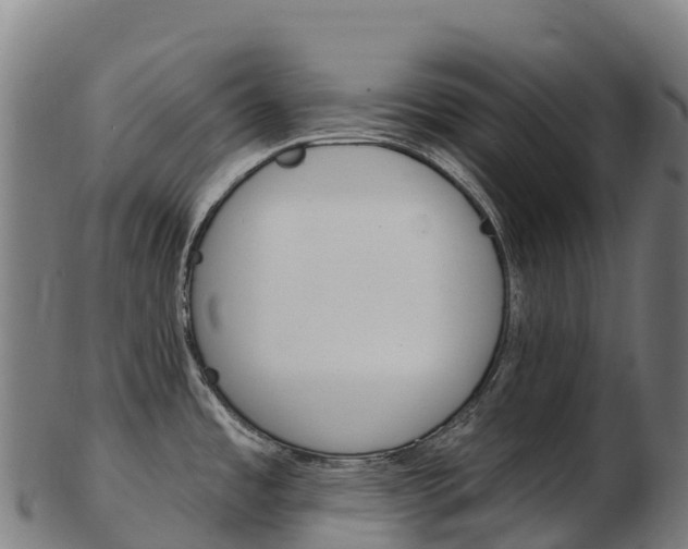 X0000103471485200809121109