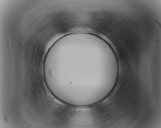 X0000103471486200809121109