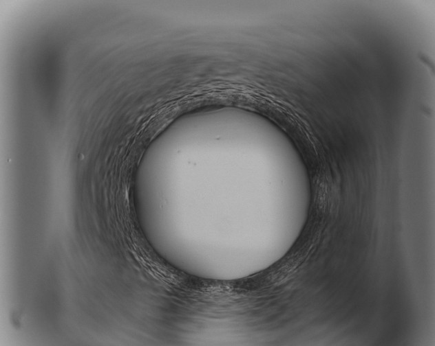 X0000103471489200809121108