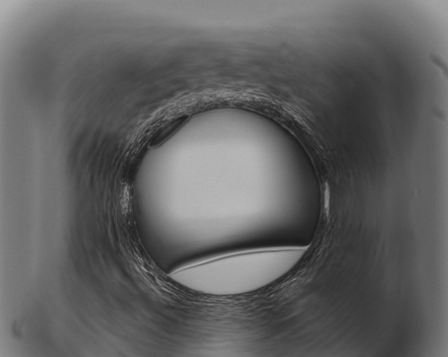 X0000103471492200809121108