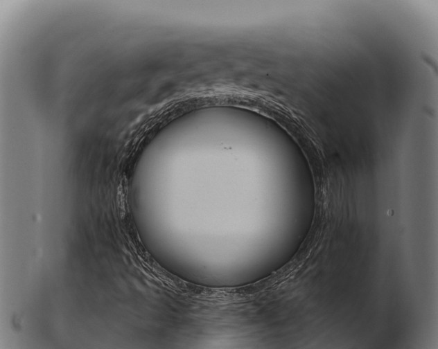 X0000103471493200809121108