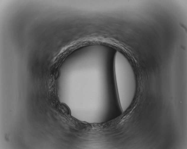 X0000103471494200809121108