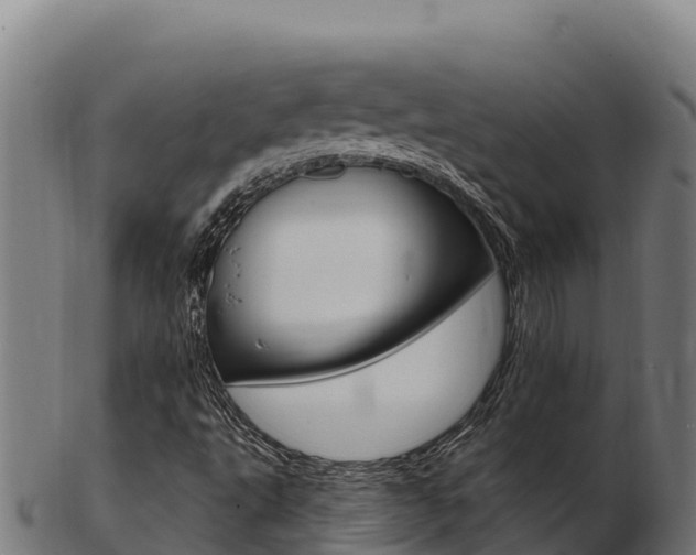 X0000103471495200809121108