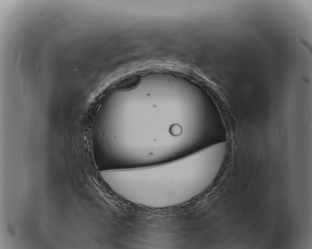 X0000103471496200809121108