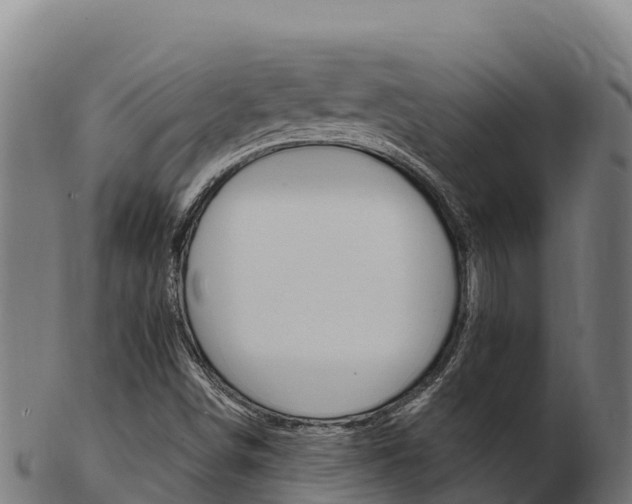 X0000103471498200809121108