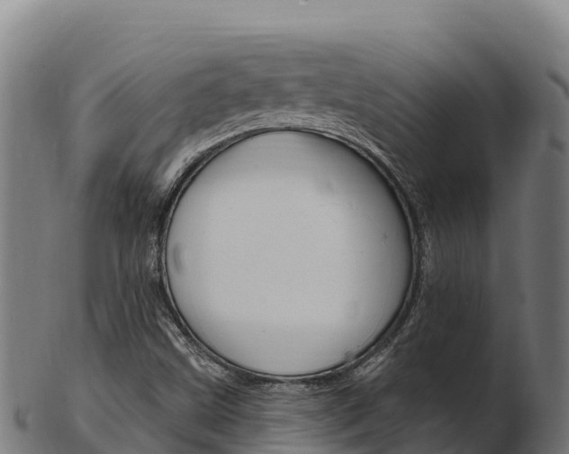 X0000103471499200809121108