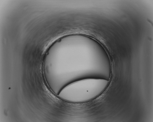 X0000103471500200809121108