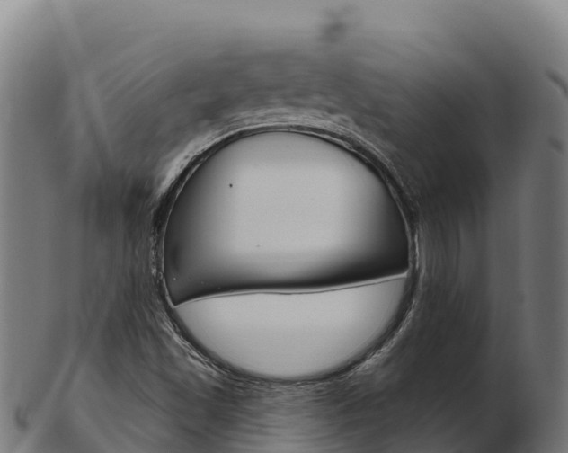 X0000103471501200809121108