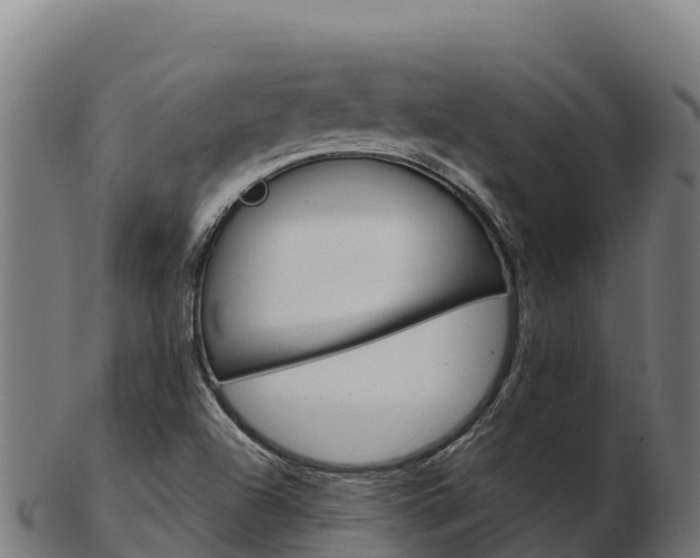 X0000103471504200809121108