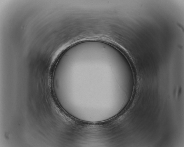 X0000103471506200809121108