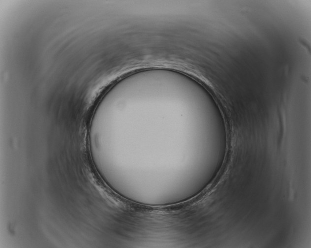 X0000103471507200809121108