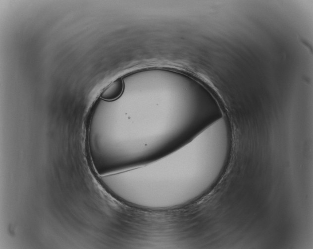 X0000103471508200809121108