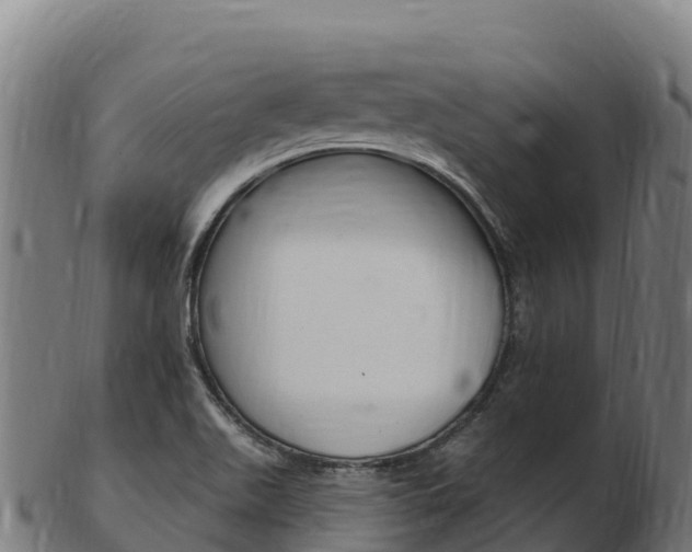 X0000103471511200809121108