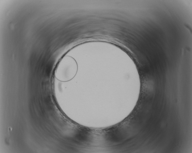 X0000103471514200809121108