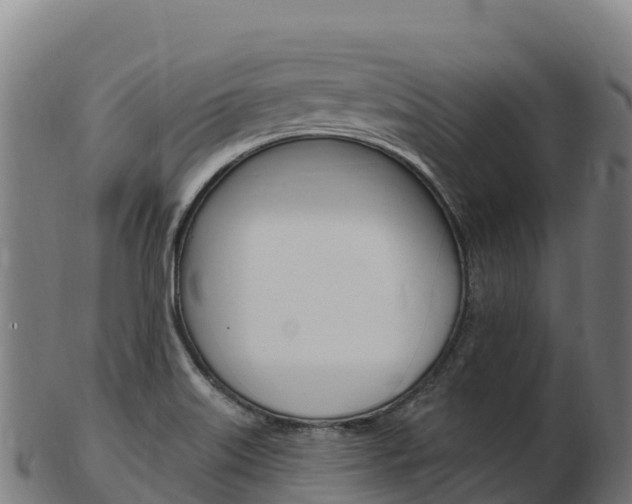 X0000103471515200809121108
