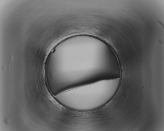 X0000103471516200809121108