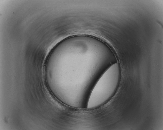 X0000103471517200809121108